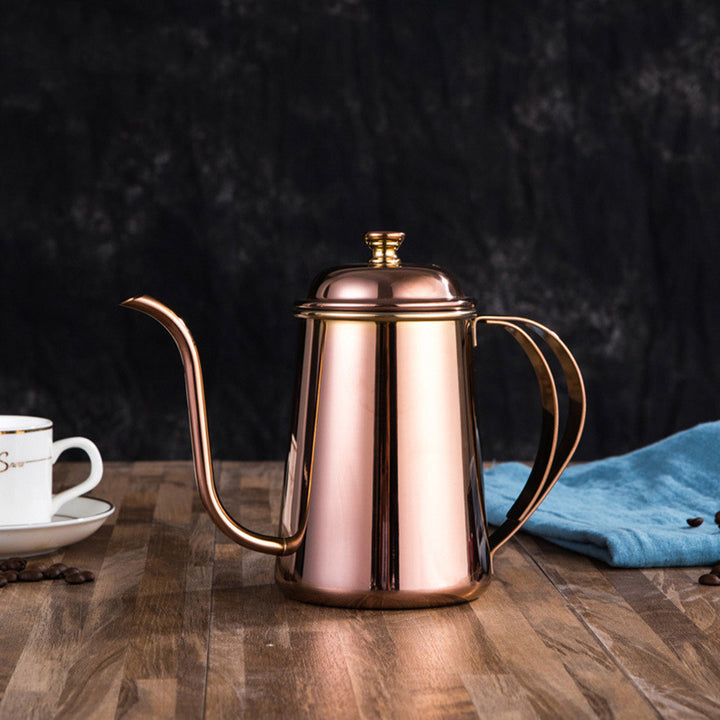 Cafetière à main en acier inoxydable à col long et col étroit