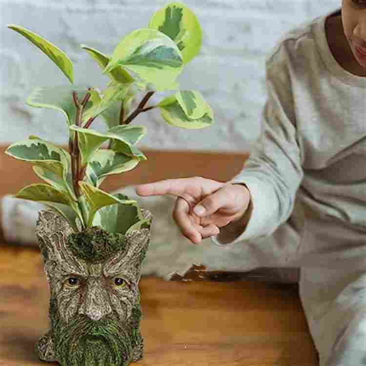 Resin Garden Plant Flowerpot Decoration Indoor