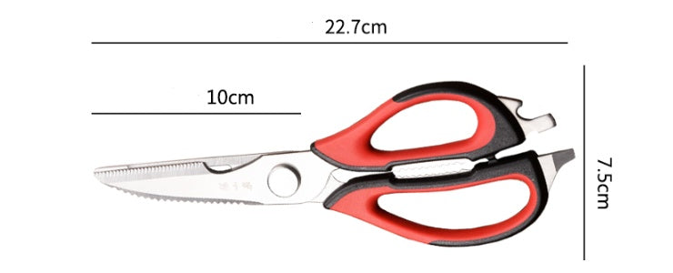 The kitchen Scissors