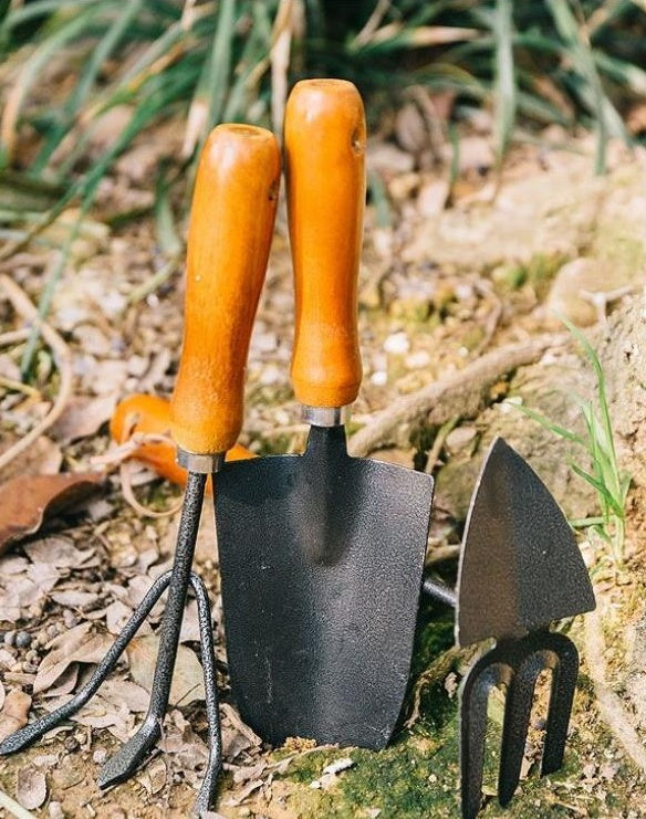 Set Shovel Loosening Soil And Planting Flowers Small Iron Shovel