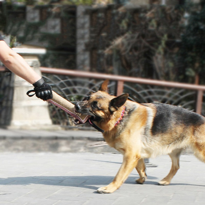 Dressage de chiens mordeurs Chien de travail professionnel