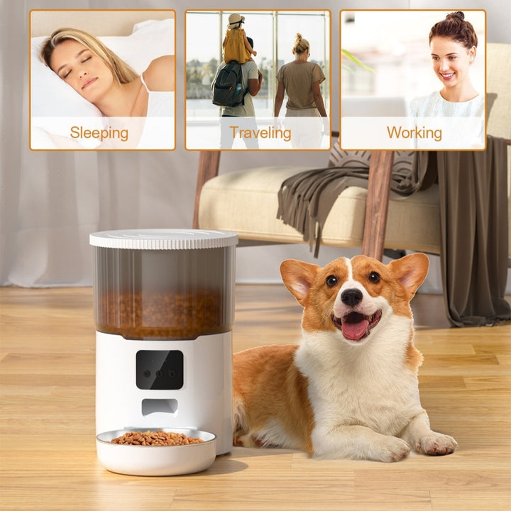 Distributeur automatique de nourriture pour animaux de compagnie Cat Smart Dog