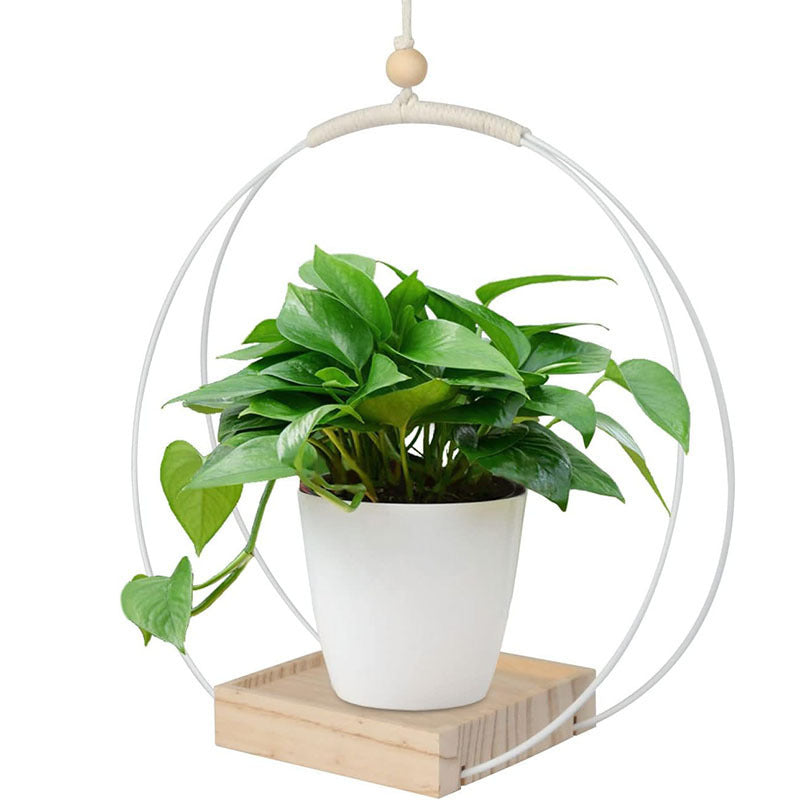 Hanging Flower Pot Plant Bracket Air Green Plant Flower Pot Decoration