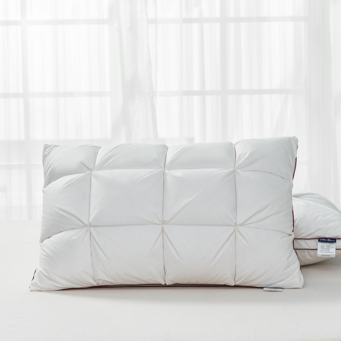 White goose down pillow