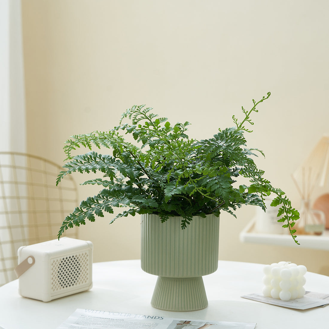 Pot de fleurs en céramique à rayures créatives nordiques en céramique