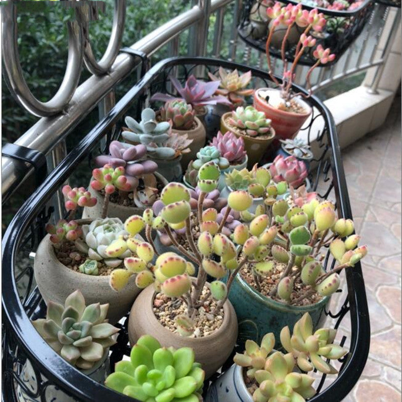 Blumentopfständer zum Aufhängen auf dem Balkon aus Schmiedeeisen