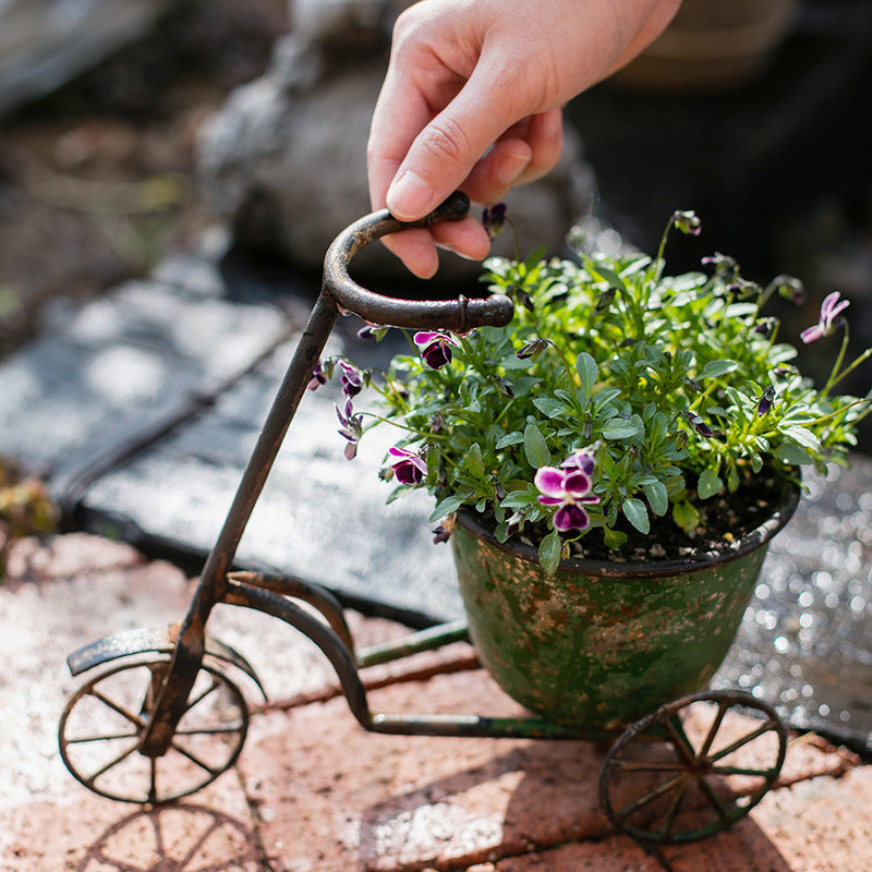 Bicycle Wrought Iron Flower Pot Flower Pot Succulent Pot Flower Cart