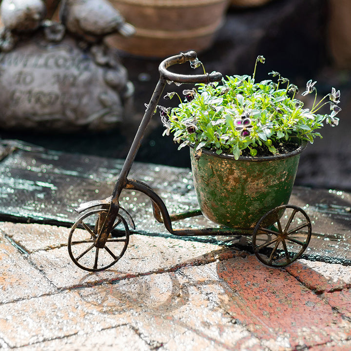 Bicycle Wrought Iron Flower Pot Flower Pot Succulent Pot Flower Cart