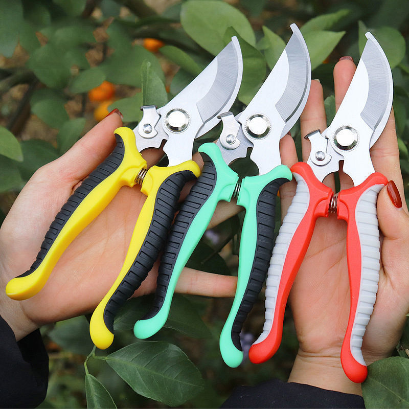 Stainless Steel Tree Pruning Shears