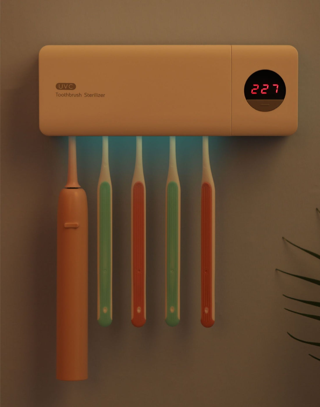 Porte-brosse à dents rechargeable pour stérilisation aux ultraviolets