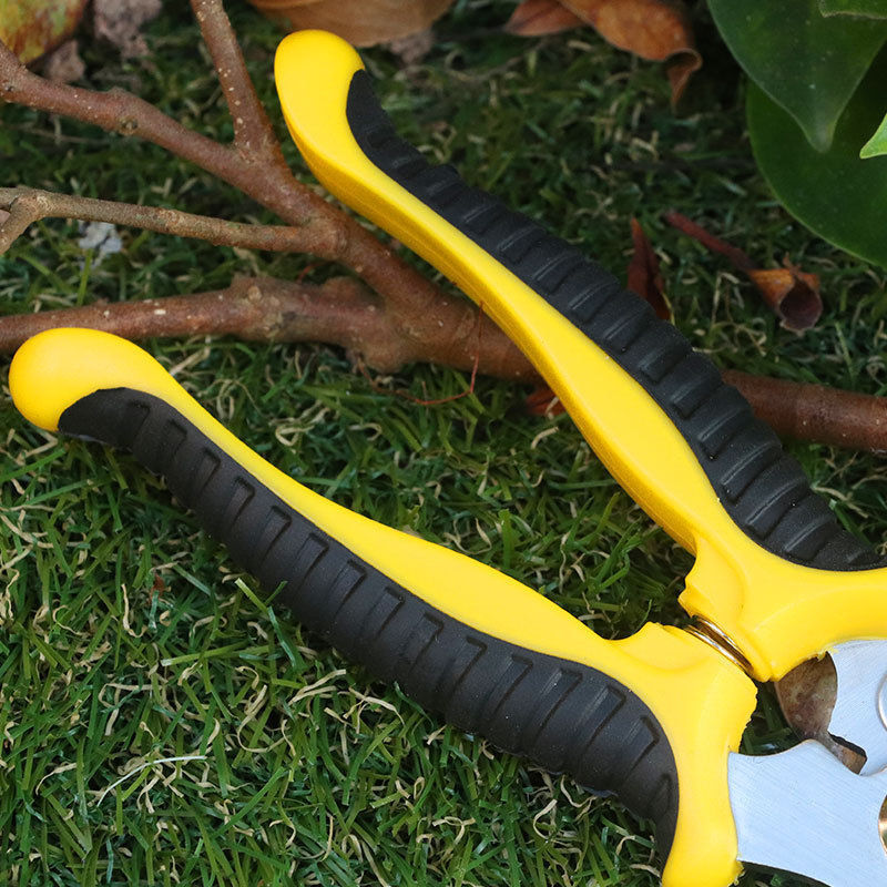 Stainless Steel Tree Pruning Shears