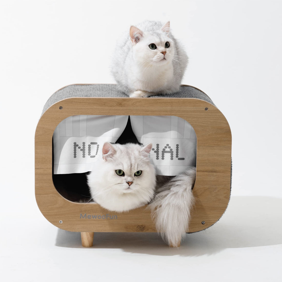 One Closed Escape House Cat Nest Cat Cabinet House